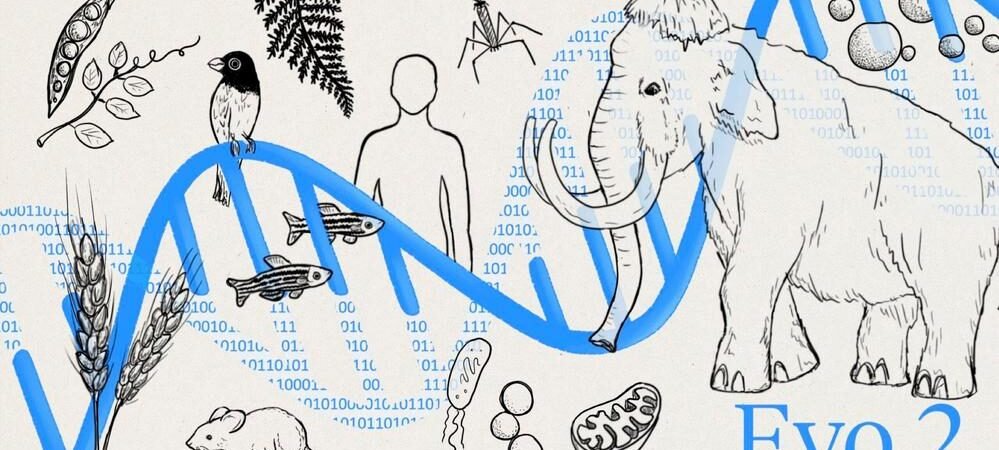 Evo 2 : L’IA révolutionnaire qui crée des gènes fonctionnels, la biologie n’en revient pas !