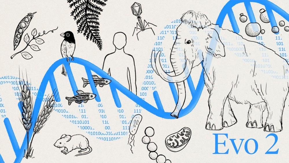 Evo 2 : L’IA révolutionnaire qui crée des gènes fonctionnels, la biologie n’en revient pas !