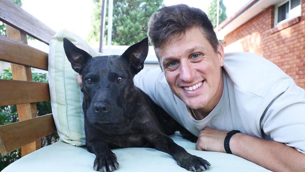 Un entrepreneur, une dose d’IA et une chienne sauvée : comment un vaccin anticancer mRNA sur mesure a fait vaciller la science